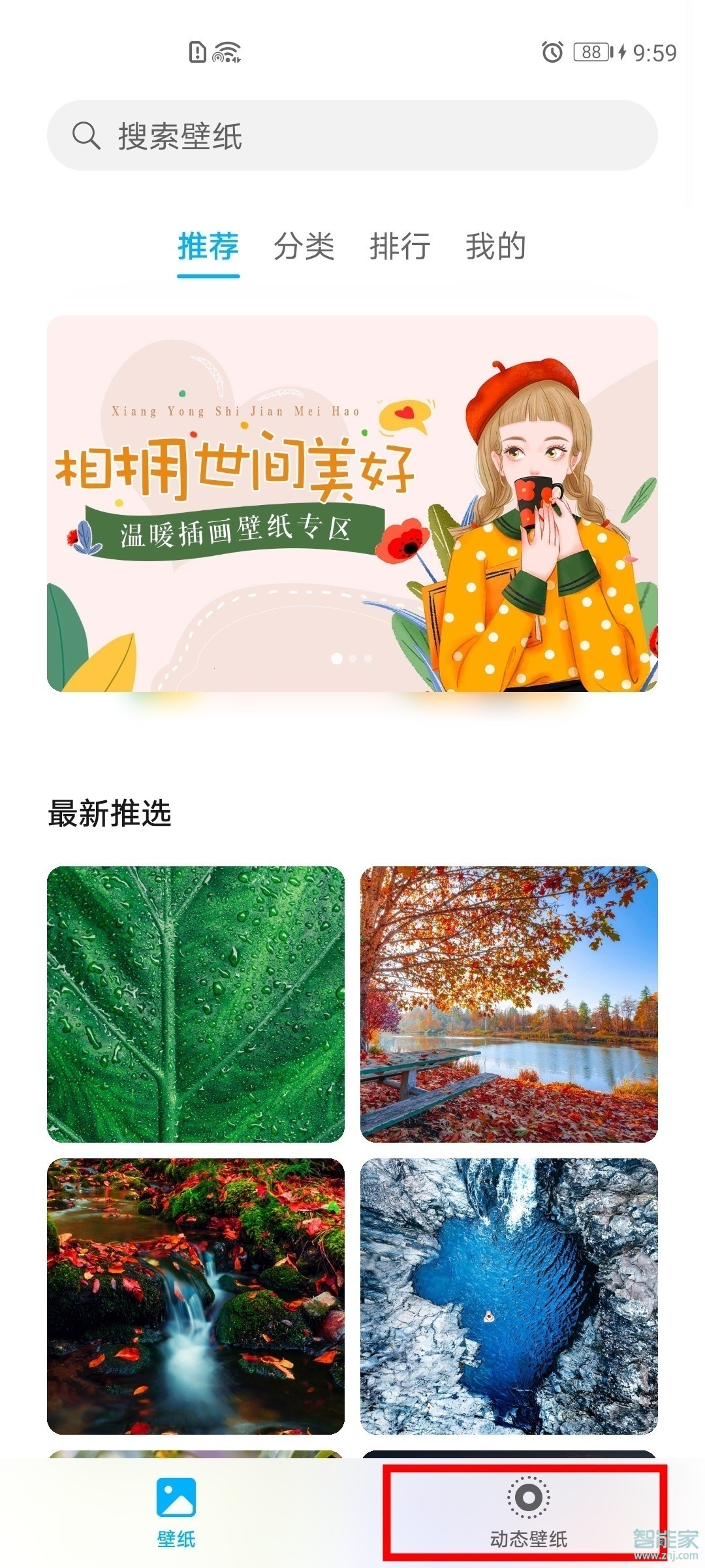 荣耀50se怎么设置动态壁纸