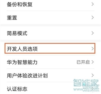 华为畅享20se开发者选项在哪