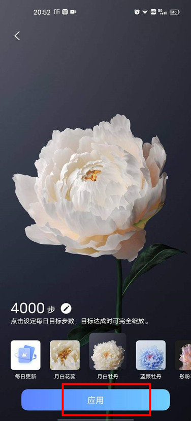 originos怎么设置行为壁纸