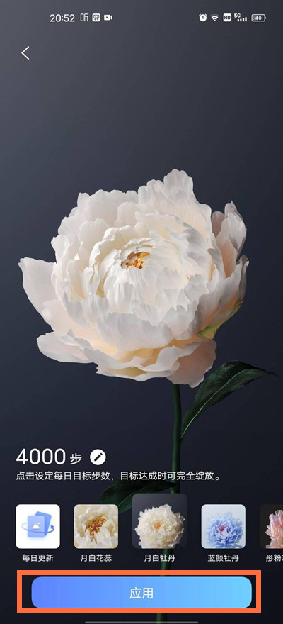 vivox60行为壁纸怎么设置