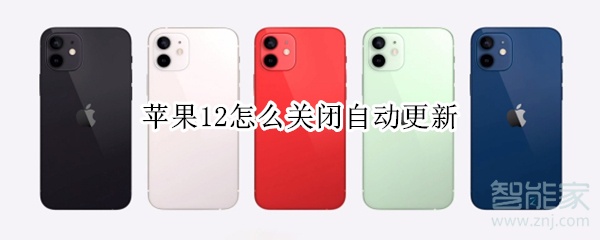 苹果12怎么关闭自动更新