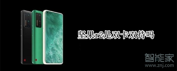坚果r2是双卡双待吗