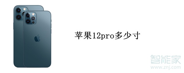 苹果12pro多少寸
