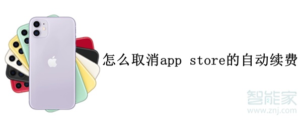 怎么取消app store的自动续费