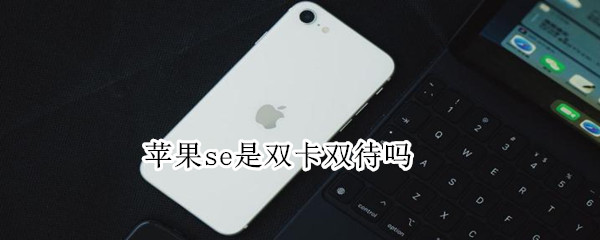 苹果se是双卡双待吗