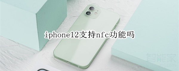 iphone12支持nfc功能吗