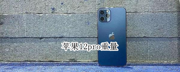 苹果12pro重量