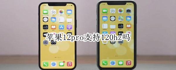 苹果12pro支持120hz吗