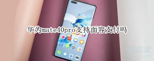 华为mate40pro支持面容支付吗
