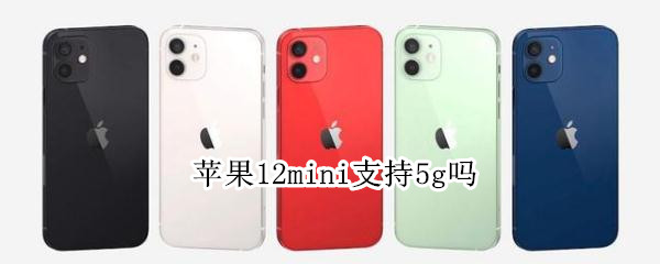 苹果12mini支持5g吗