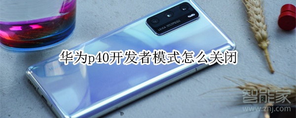 华为p40开发者模式怎么关闭