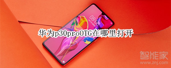 华为p30proOTG在哪里打开