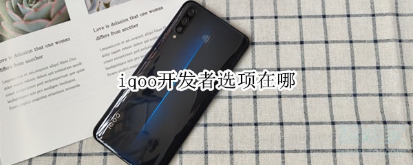 iqoo开发者选项在哪