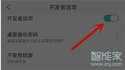oppok3开发者选项在哪