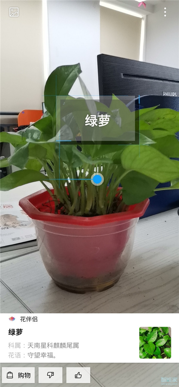 华为识图怎么用