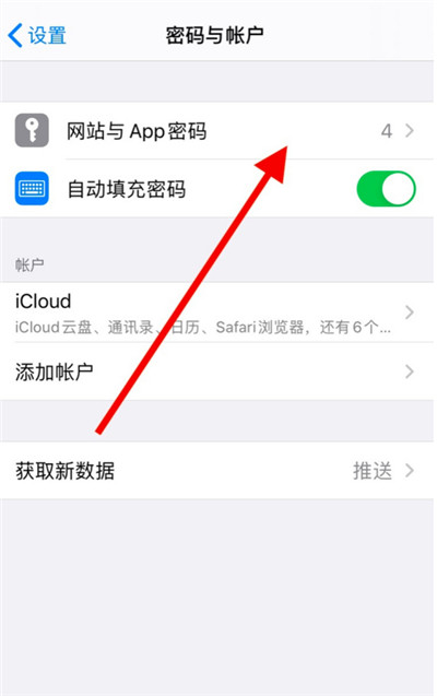 ios密码管理在哪里