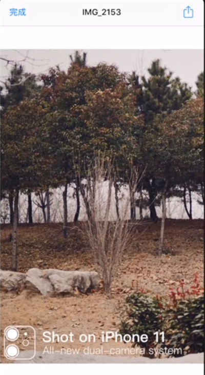 苹果11拍照怎么显示手机型号