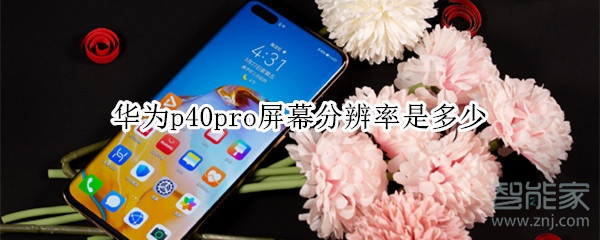 华为p40pro屏幕分辨率是多少