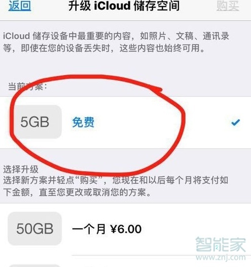 苹果icloud储存空间购买怎么取消