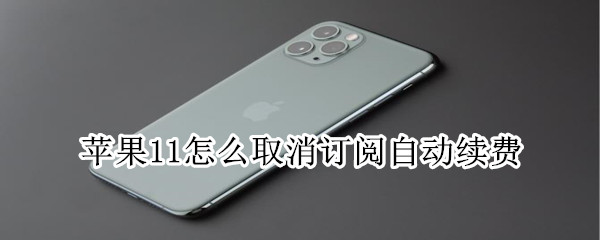 苹果11怎么取消订阅自动续费