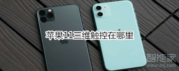 苹果11三维触控在哪里