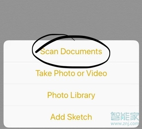 苹果怎么识别图中文字