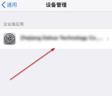 苹果手机怎么验证应用怎么连接互联网验证