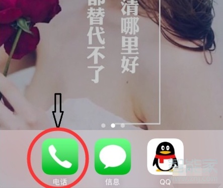 苹果信号格怎么换图标