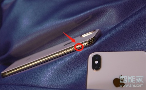 苹果手机拍照没有声音怎么调