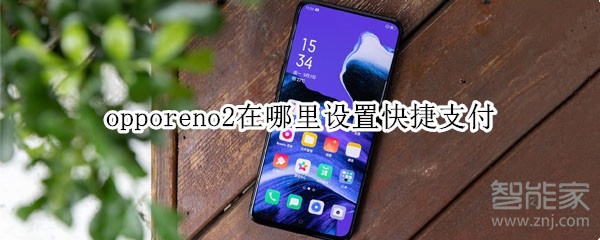 opporeno2在哪里设置快捷支付