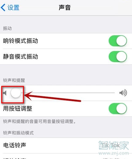 苹果外放声音怎么调大