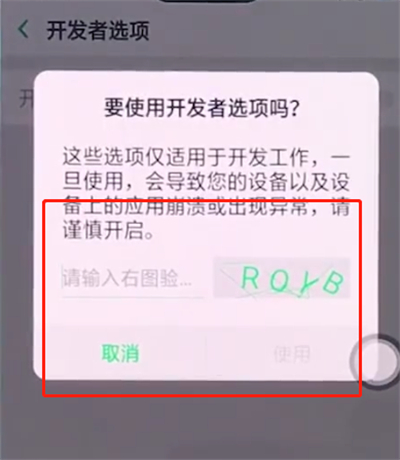 oppo手机中打开开发者选项的详细步骤