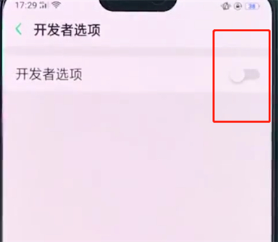 oppo手机中打开开发者选项的详细步骤