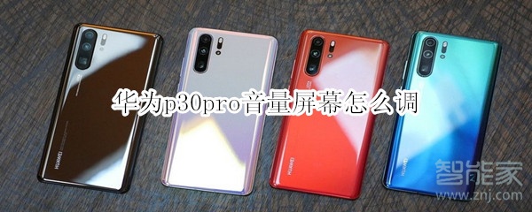 华为p30pro音量屏幕怎么调