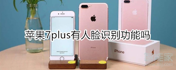 苹果7plus有人脸识别功能吗