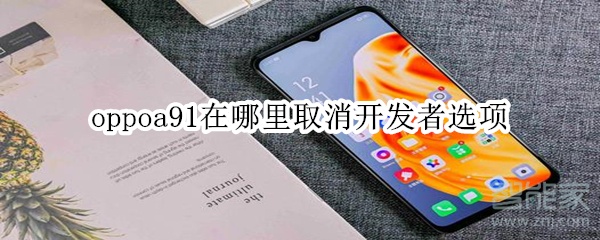 oppoa91在哪里取消开发者选项