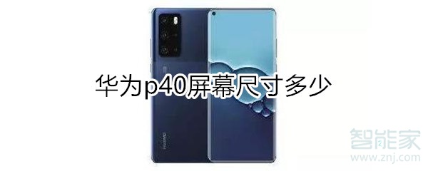 华为p40屏幕尺寸多少