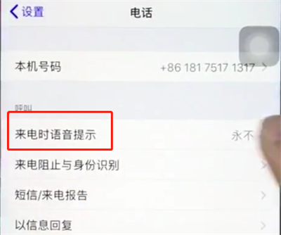 ios12中打开来电语音播报的详细步骤