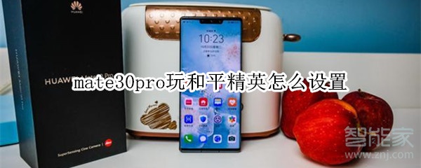 mate30pro玩和平精英怎么设置
