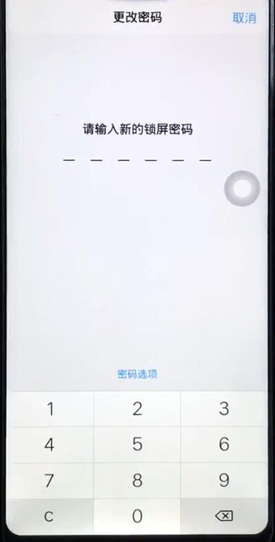 vivoz1更改锁屏密码的操作教程
