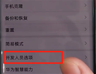 华为mate30pro中关闭开发人员选项的操作教程
