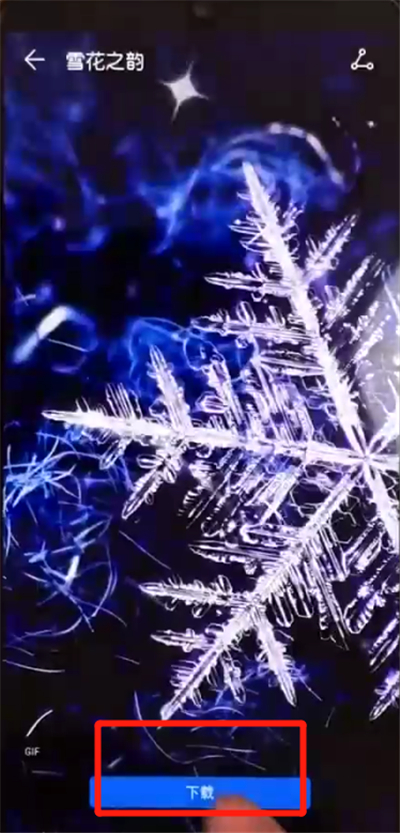 荣耀10青春版设置动态壁纸的操作教程