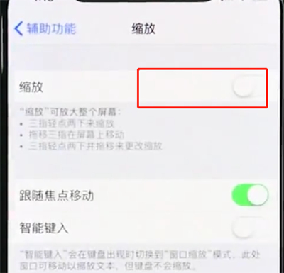iphonexr中使用缩放的操作步骤