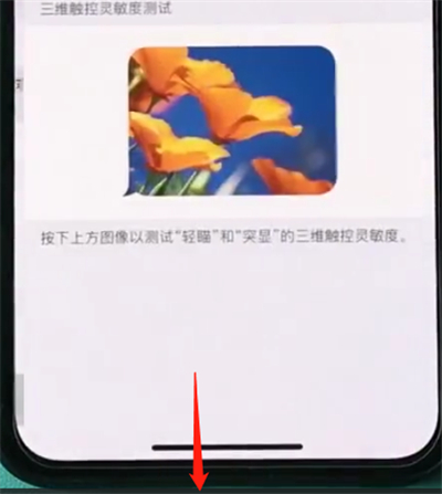 iphonexs开启半屏功能的简单步骤