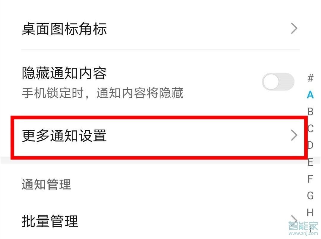 荣耀v30pro怎么设置通知亮屏