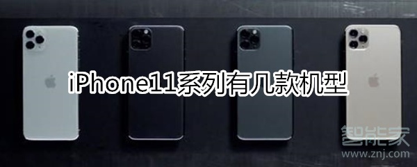 苹果11有几款