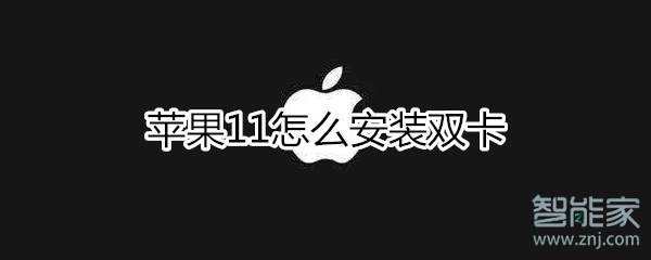 苹果11怎么安装双卡