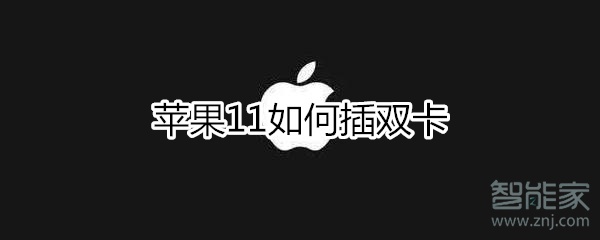 苹果11如何插双卡