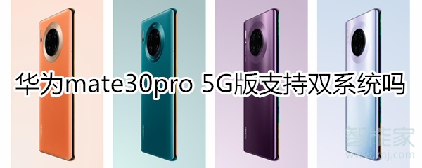 华为mate30pro 5G版支持双系统吗