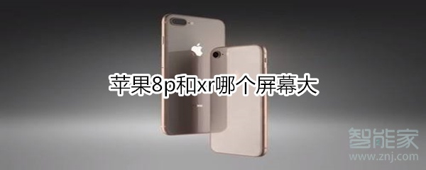 苹果8p和xr哪个屏幕大